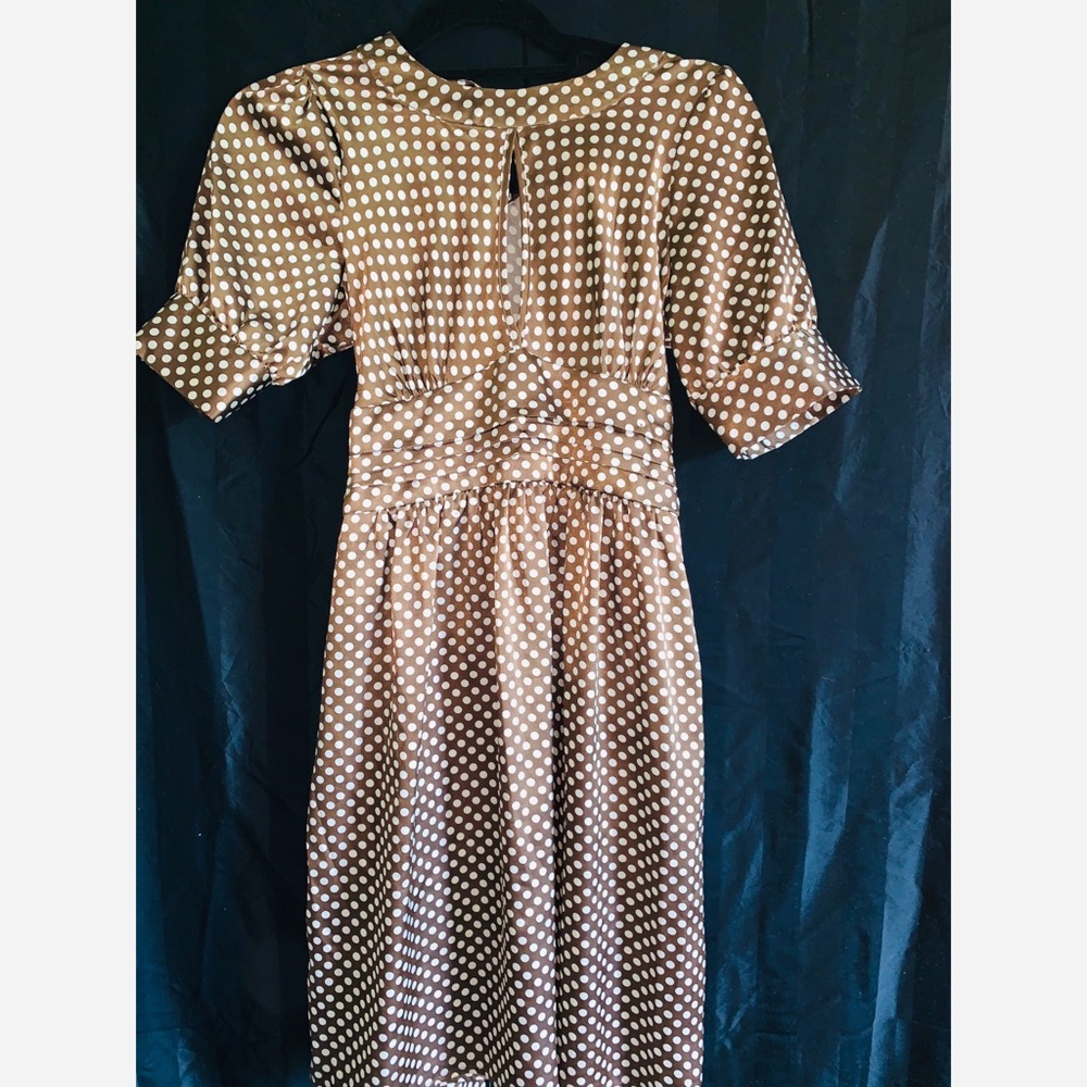 Polka Dot, brown and white Dress